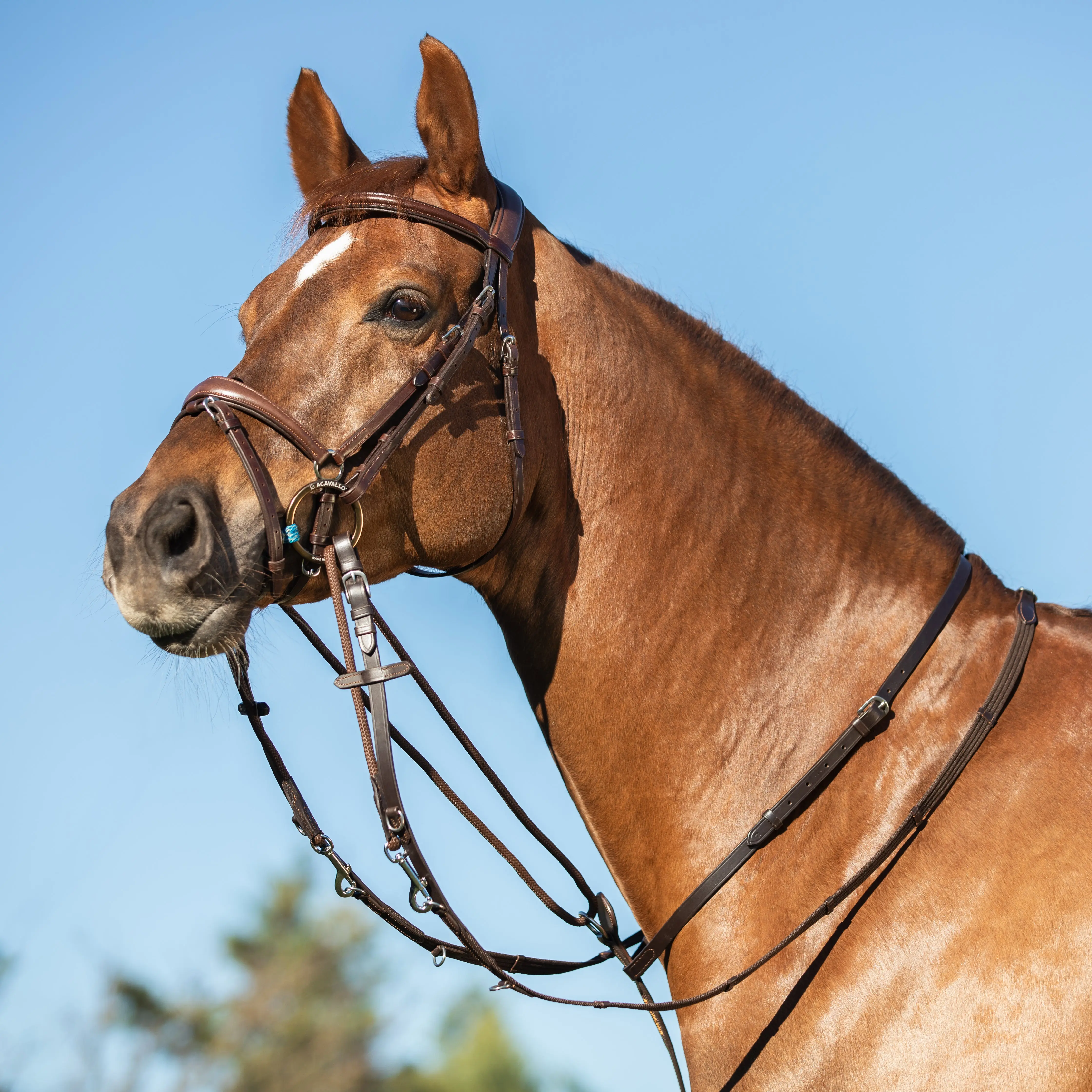 Acavallo Italian Leather And Round Nylon Thiedemann Reins - Image 16