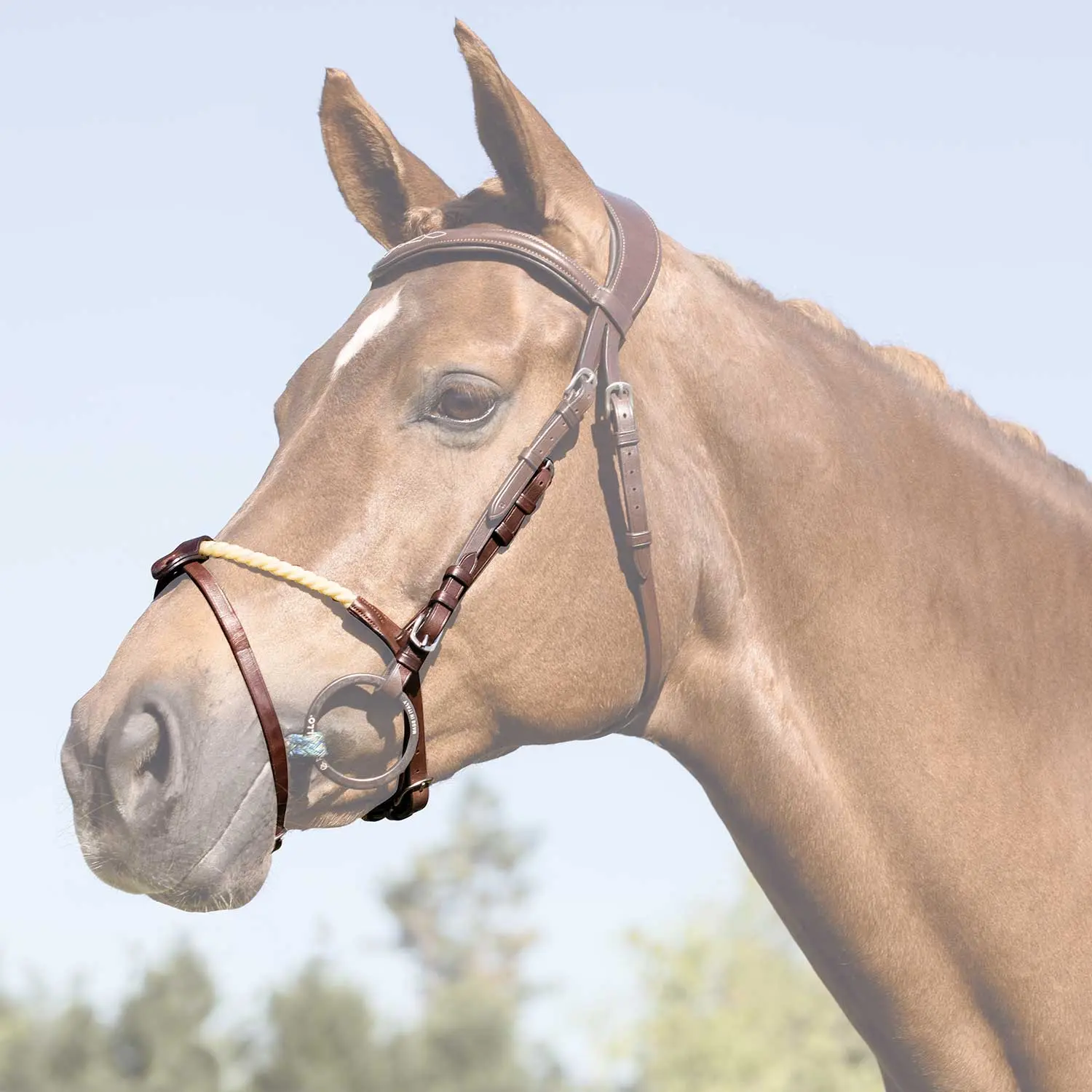 Acavallo Rope Flash Noseband - Image 11