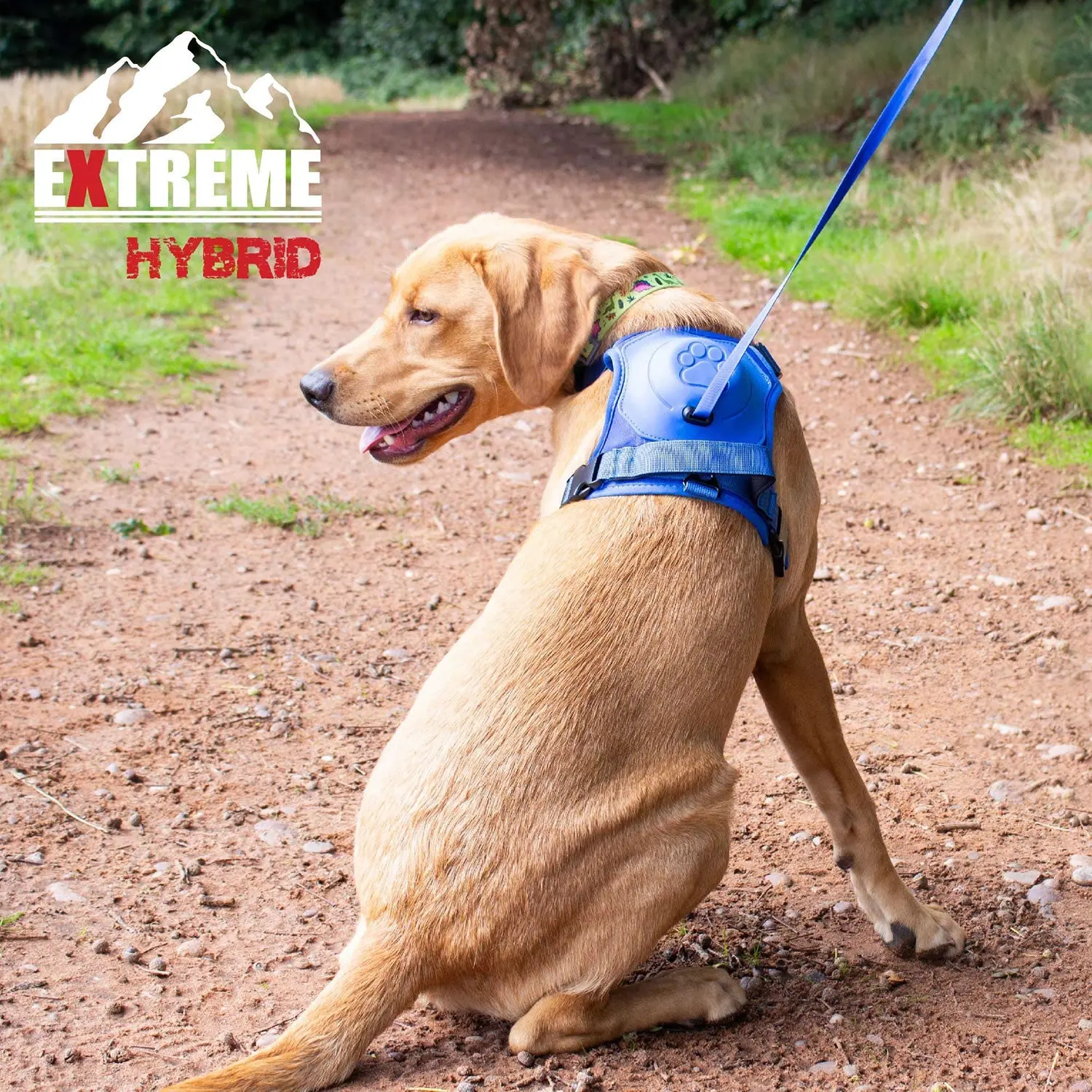 Ancol Extreme Hybrid Harness Aqua Blue