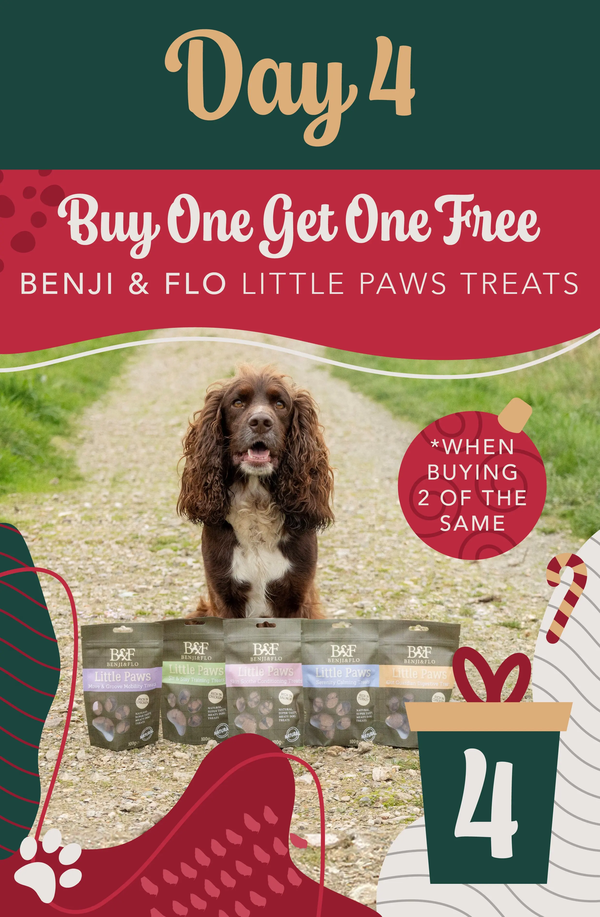 Benji & Flo Little Paws Move & Groove Mobility Treats