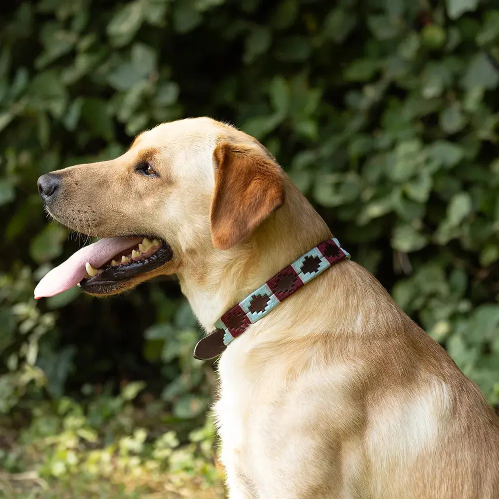 Benji & Flo Sublime Polo Leather Dog Collar - Image 3