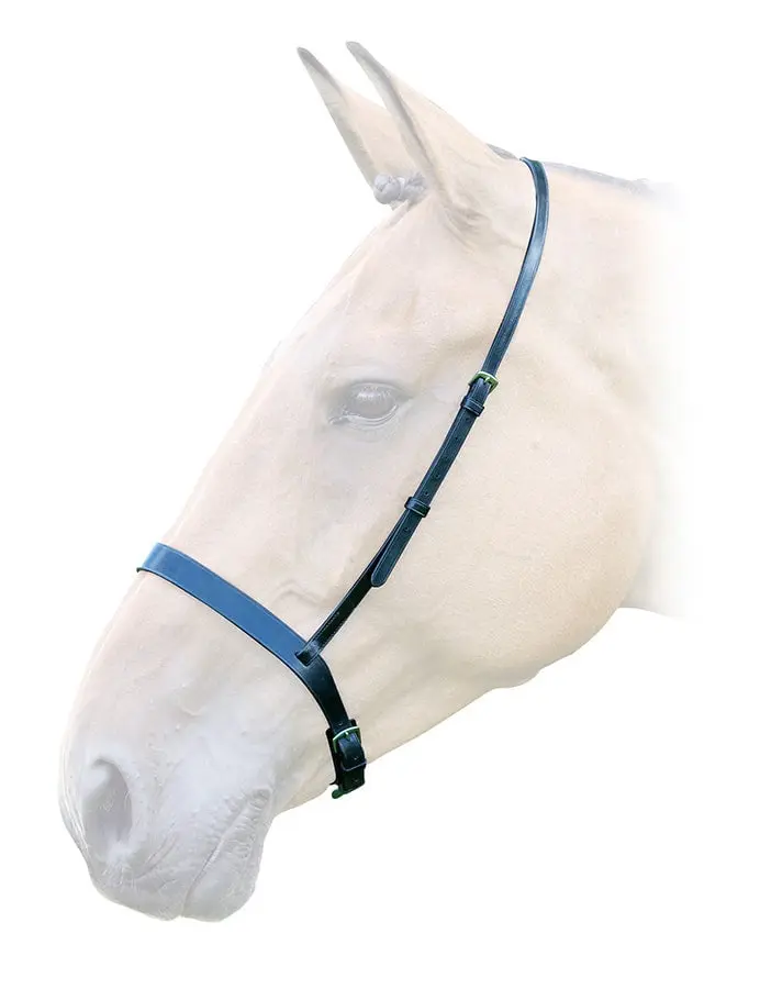 Bridleway Lavello Havana Cavesson Noseband - Cob