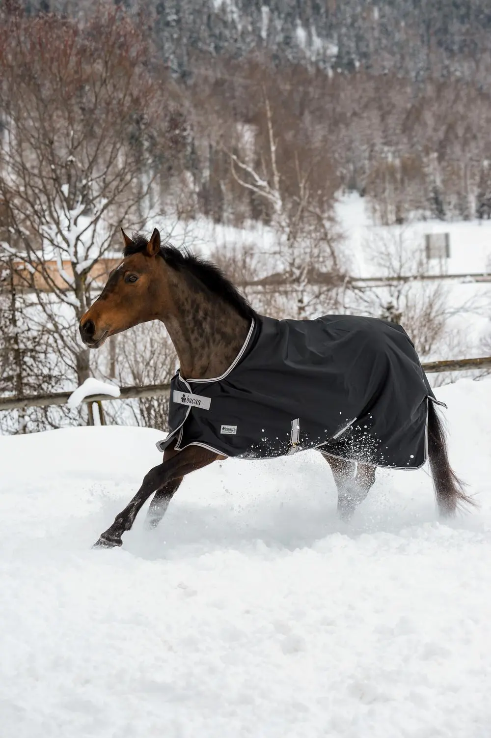 Bucas Anniversary Turnout 150g Stay Rug