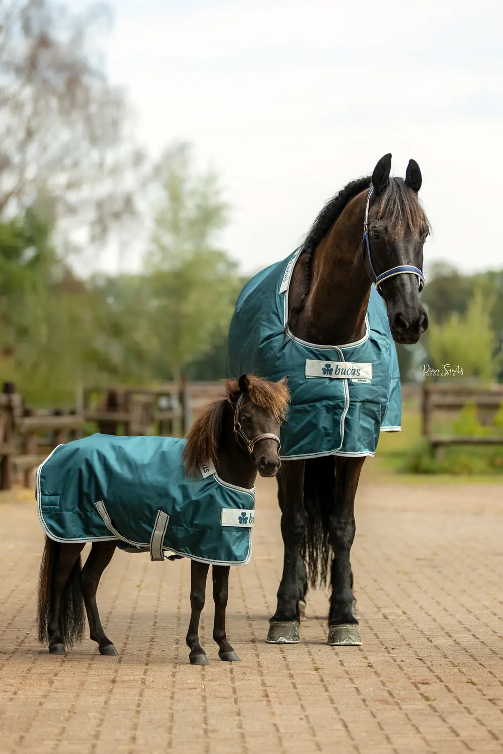 Bucas Atlantic Turnout 200g Pony Rug - Image 2