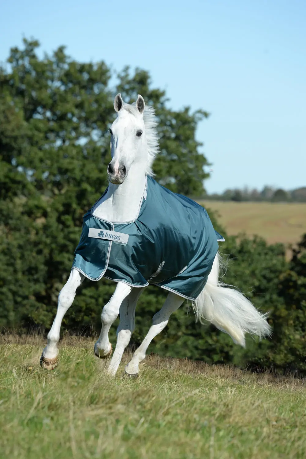 Bucas Atlantic Turnout 50g Rug - Image 2