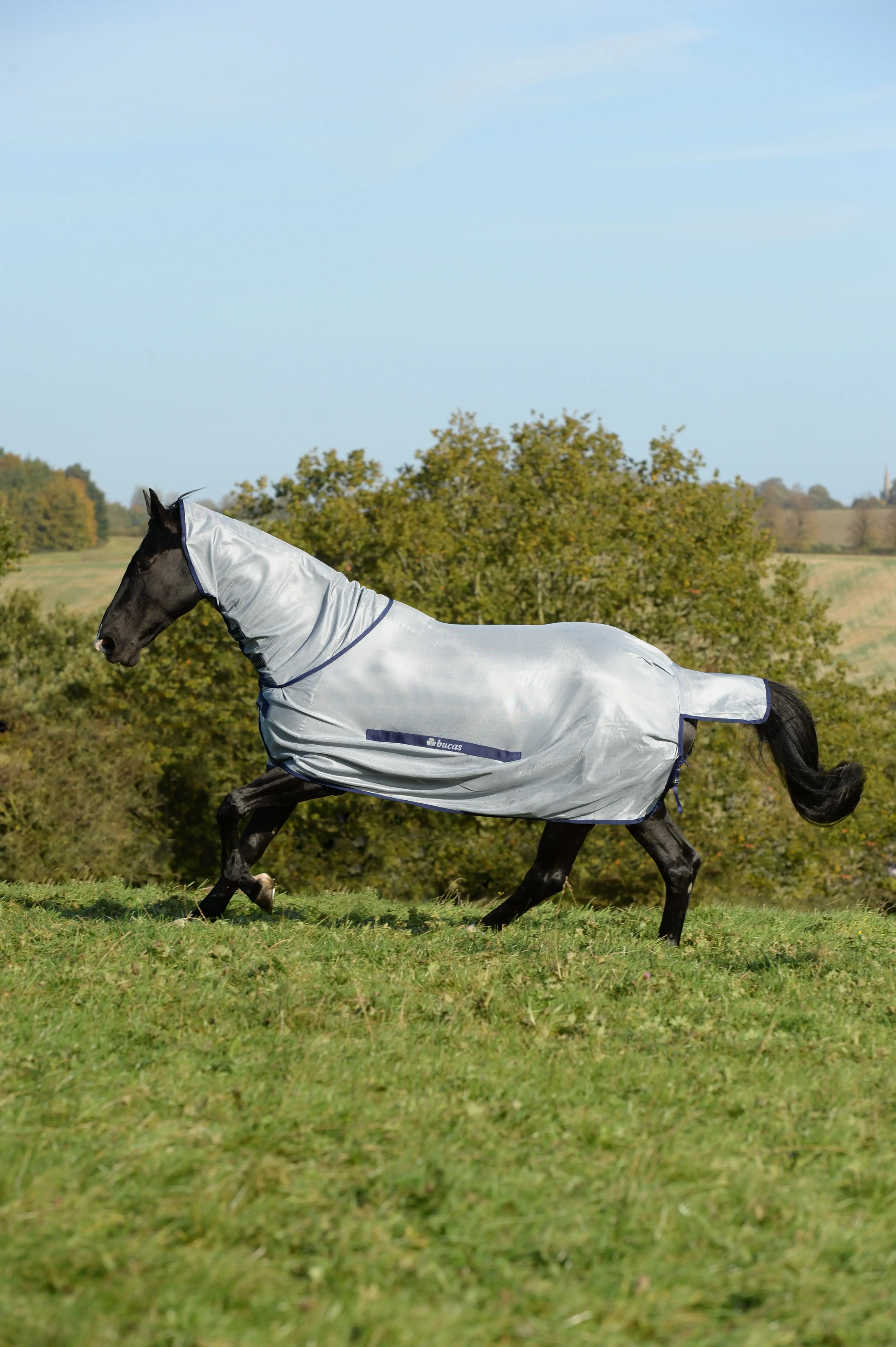 Bucas Buzz-Off Full Neck Pony Rug
