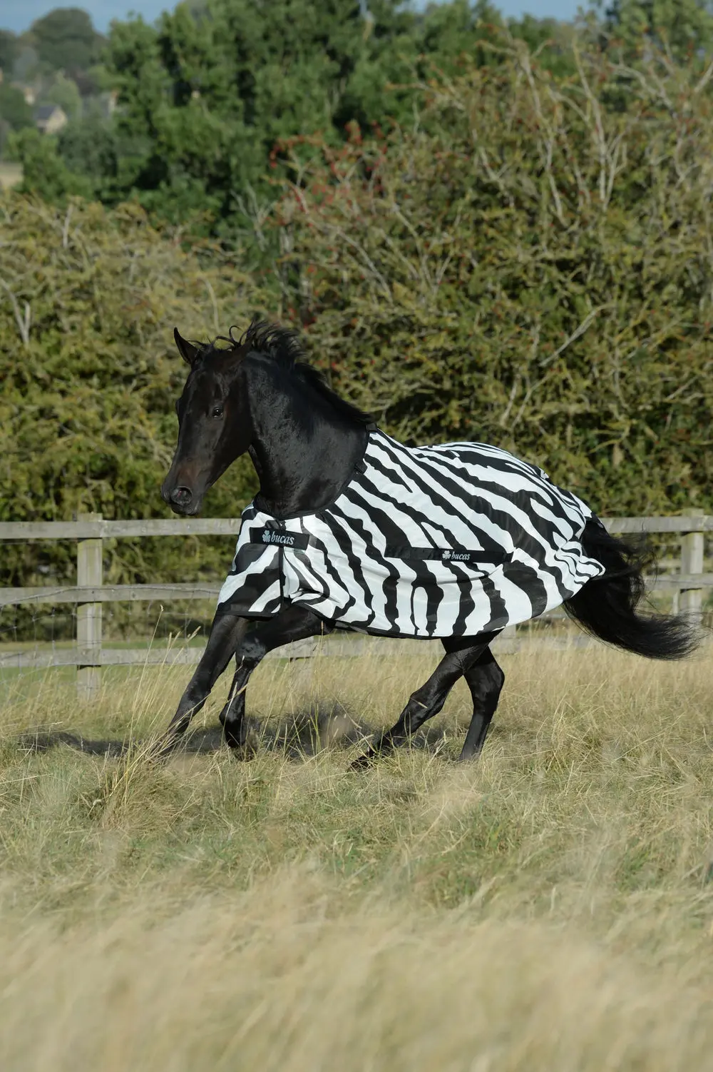 Bucas Buzz-Off Zebra Detachable Neck Rug - Image 2