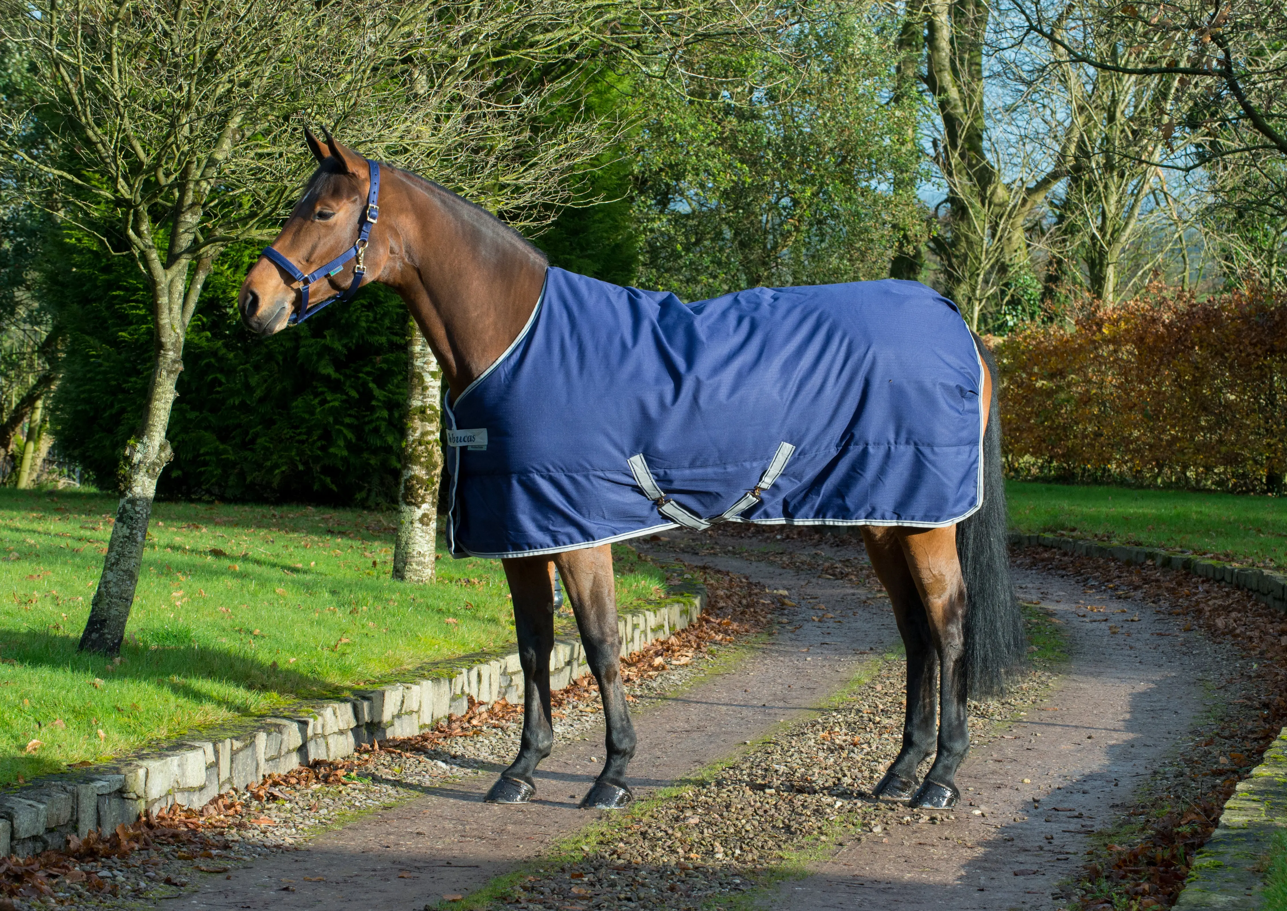 Bucas Freedom Stable 150g Rug