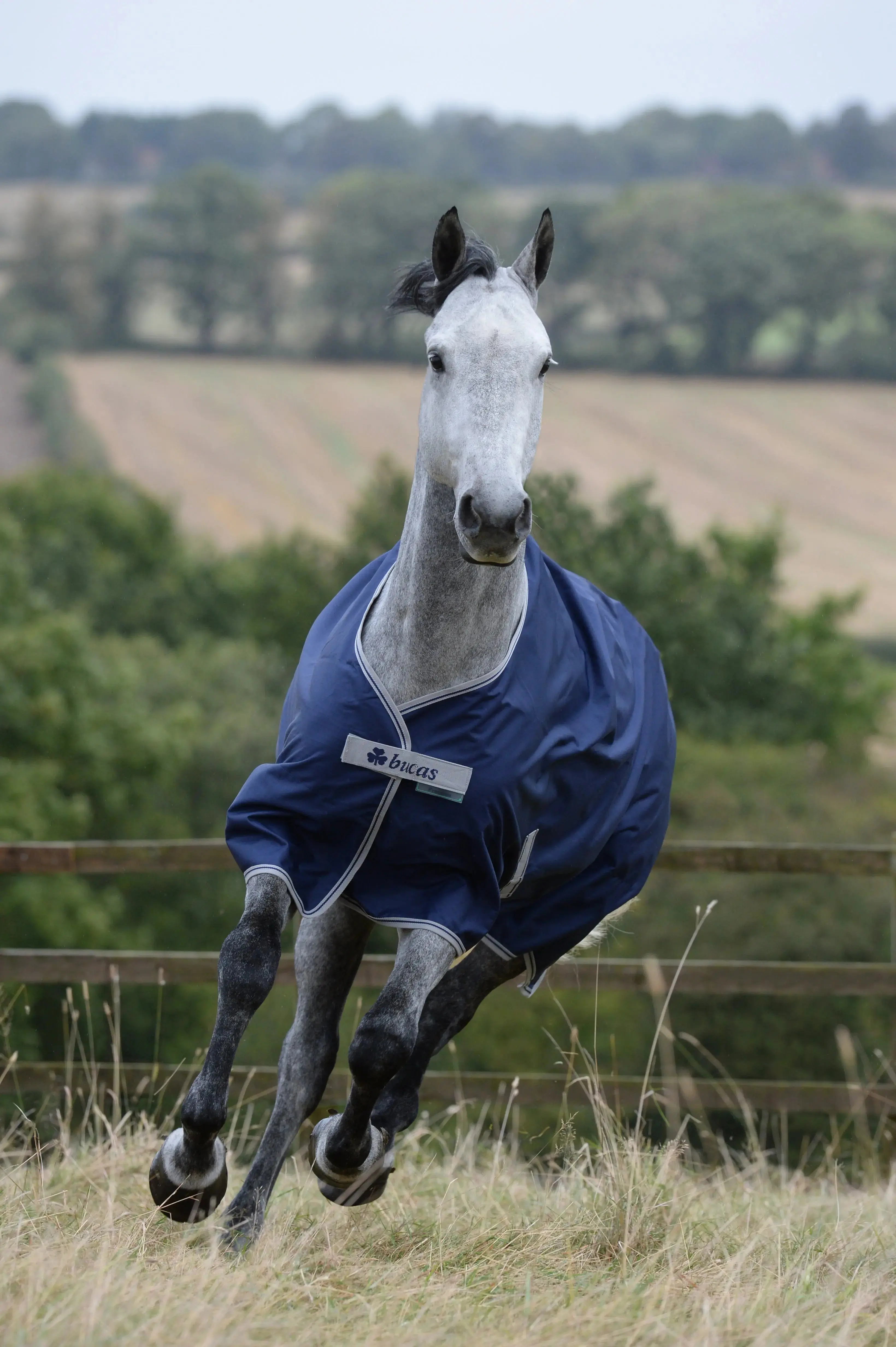 Bucas Freedom Turnout Light Horse Rug - Image 2