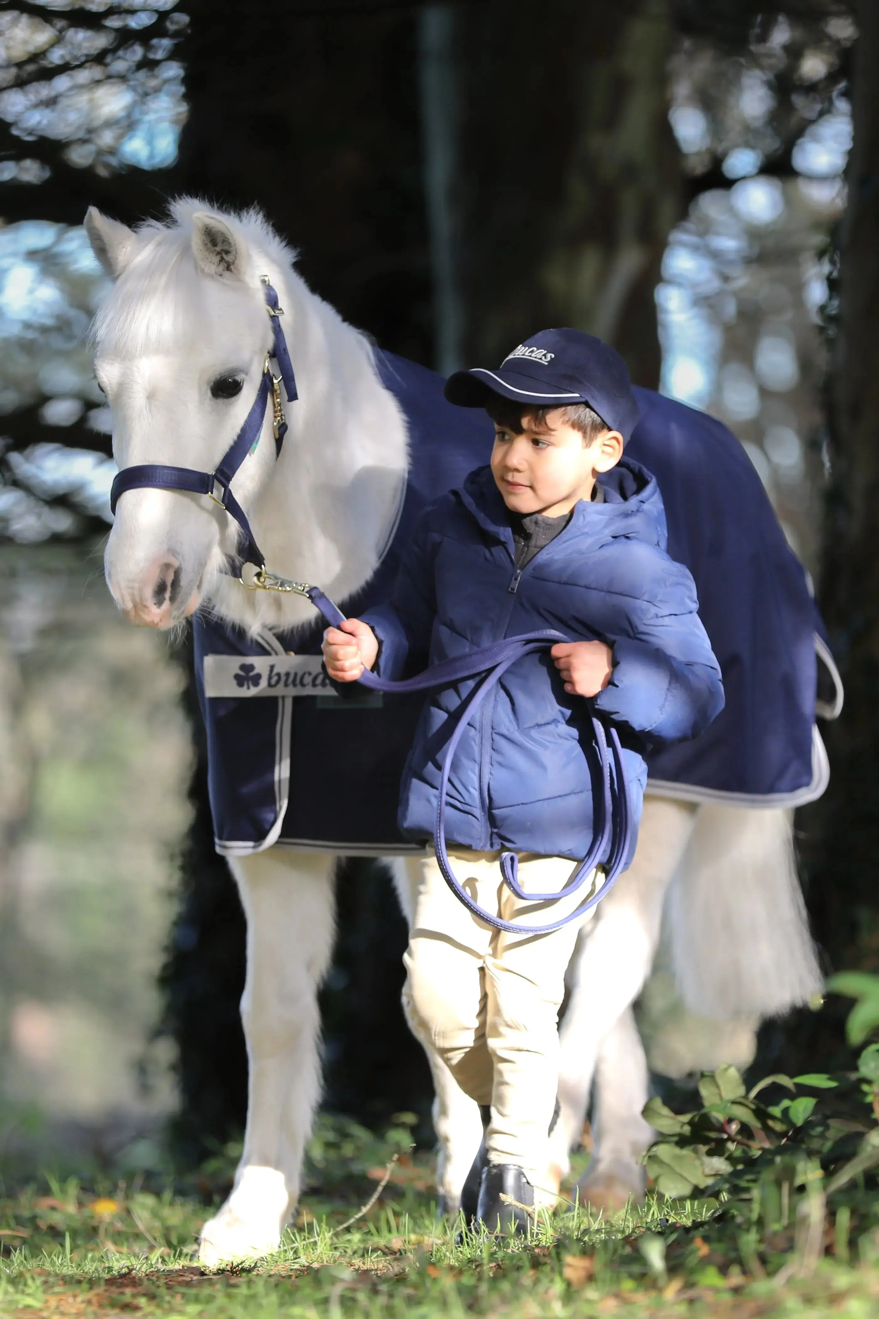 Bucas Freedom Turnout Light Horse Rug - Image 4