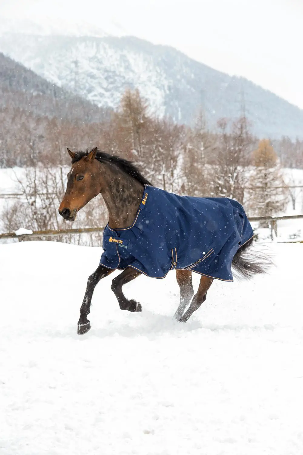 Bucas Irish Turnout 300g Rug - Image 2