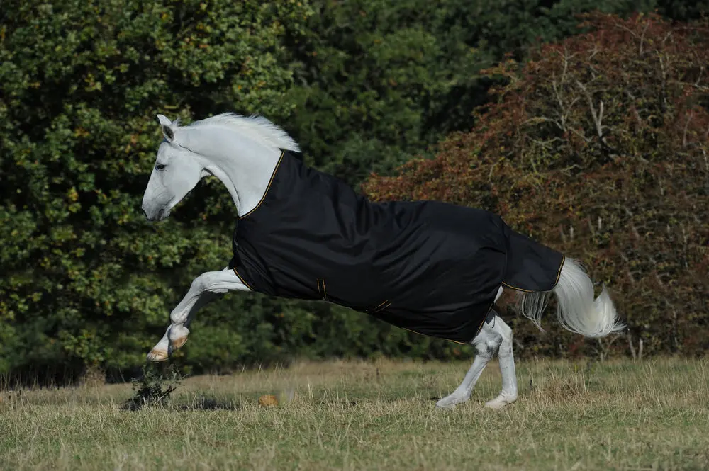Bucas Irish Turnout 50g High Neck Rug