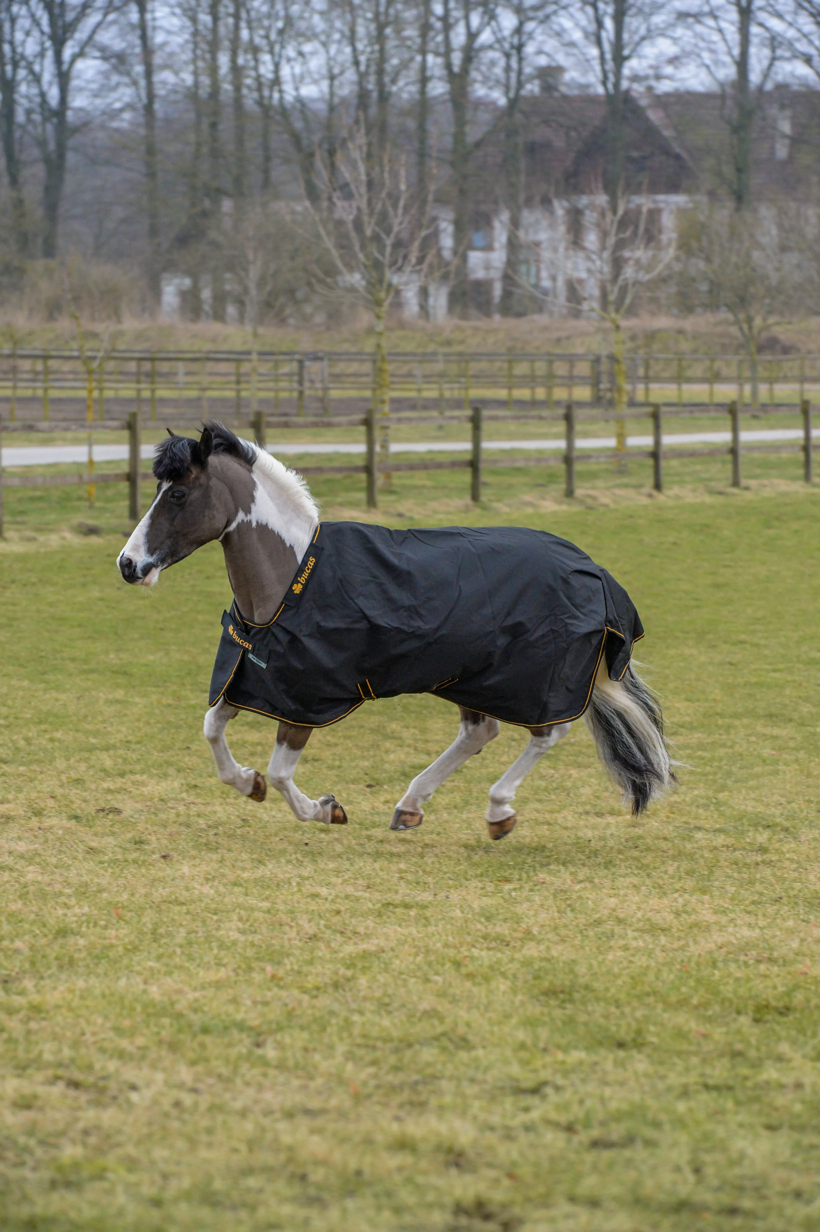 Bucas Irish Turnout 50g Pony Rug - Image 2