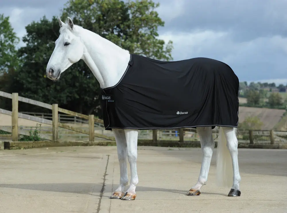 Bucas Power Cooler Rug - Image 2