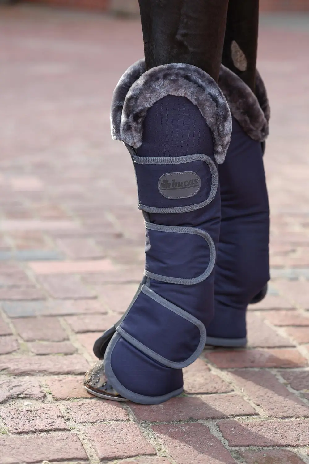 Bucas Show-Line Travel Boots - Image 3