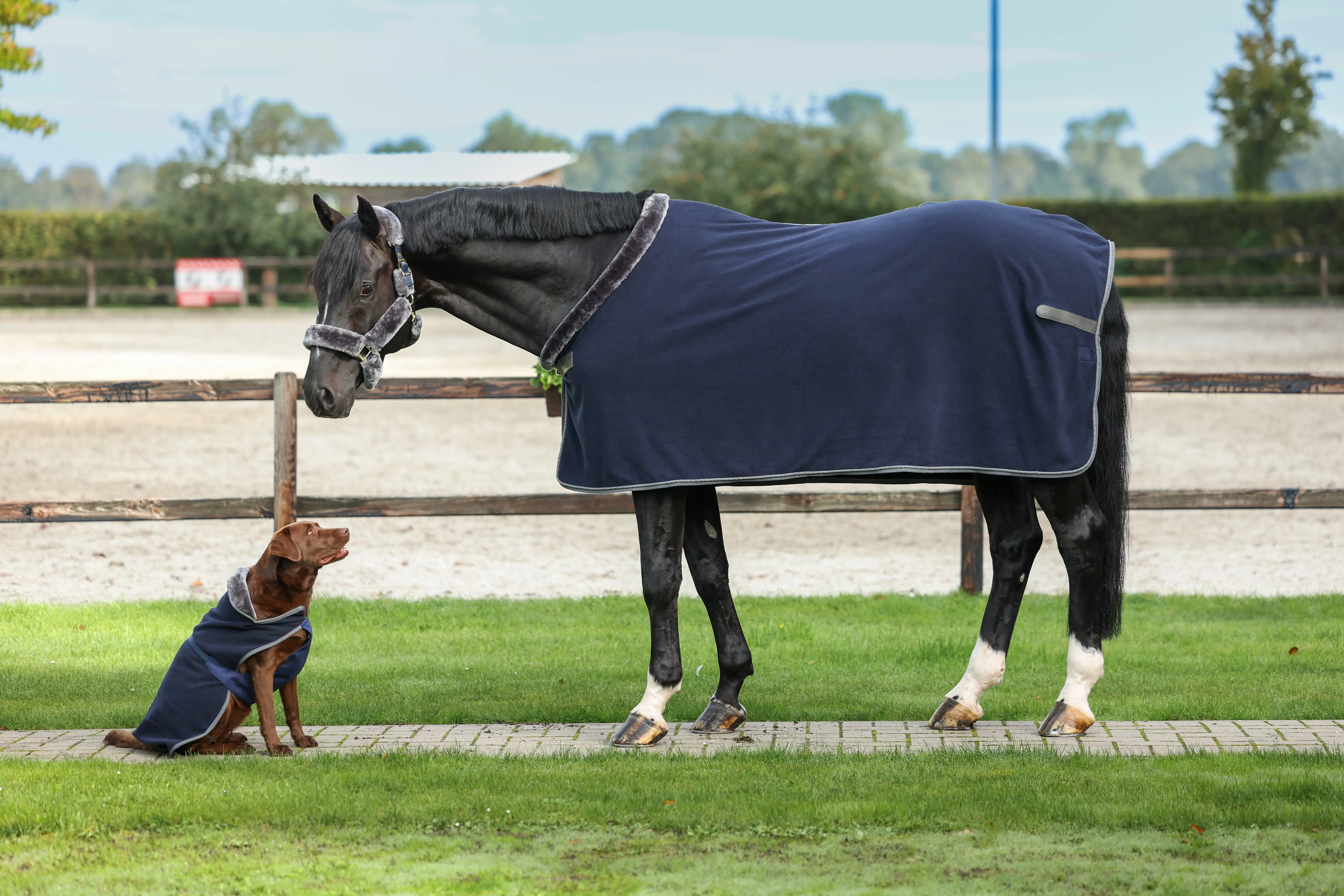 Bucas Show-Line Fleece 400g Rug - Image 4