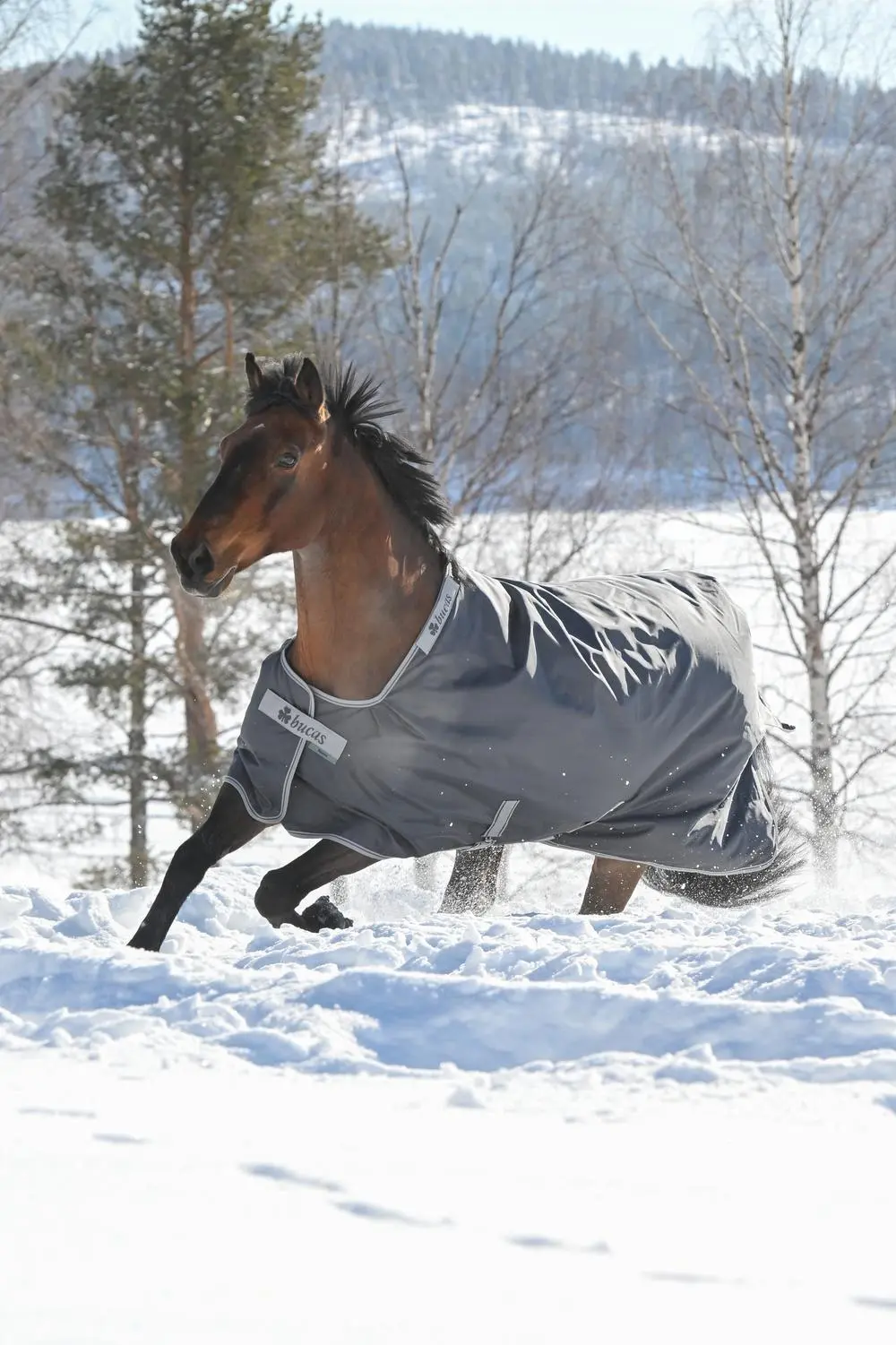 Bucas Smartex Extra Heavyweight Turnout Rug Iron Gate - Image 2