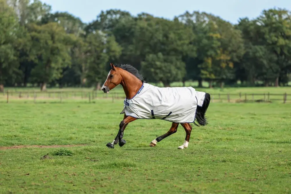 Bucas Sun Shower Rug - Image 2