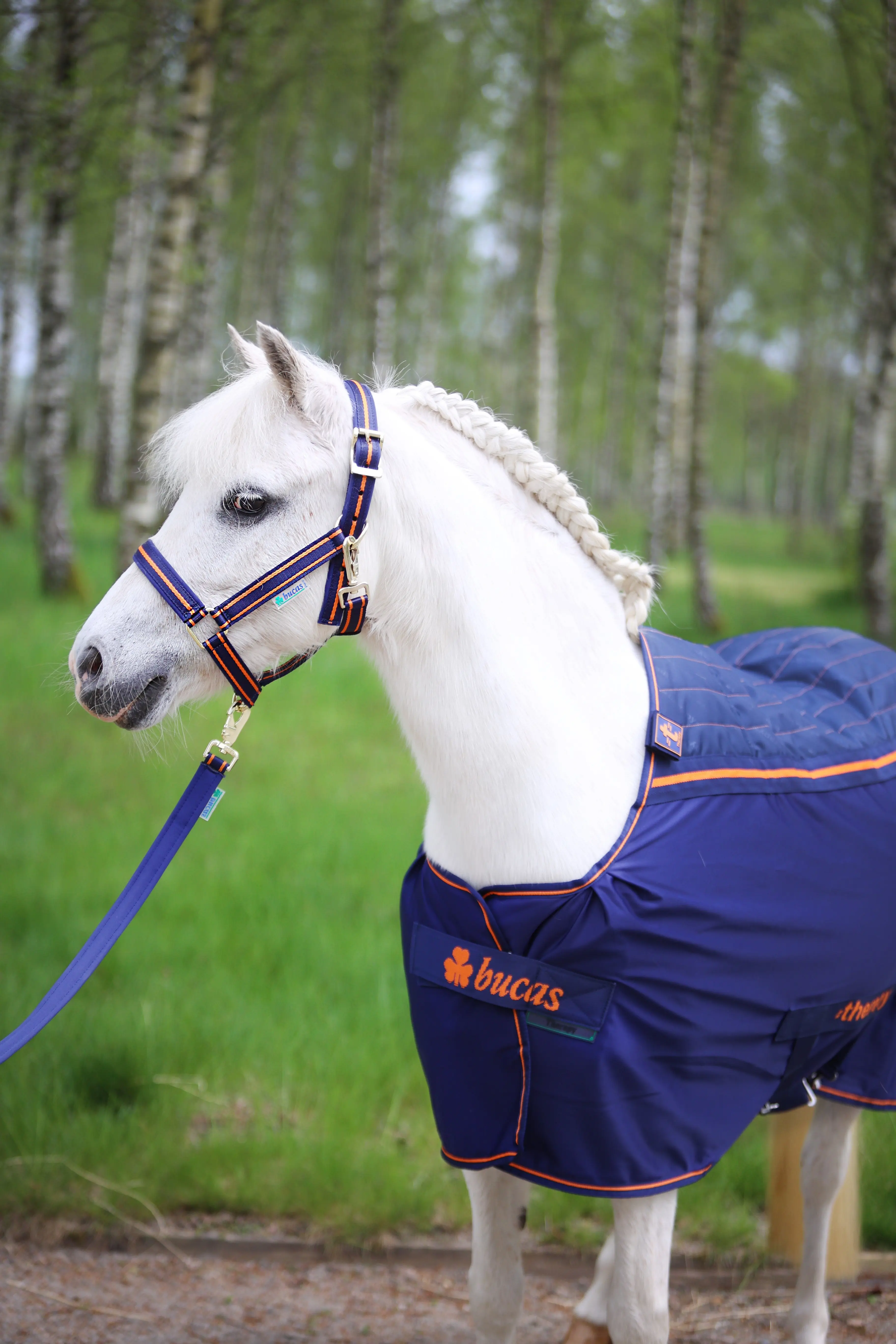 Bucas Therapy Cooler Pony Rug - Image 2