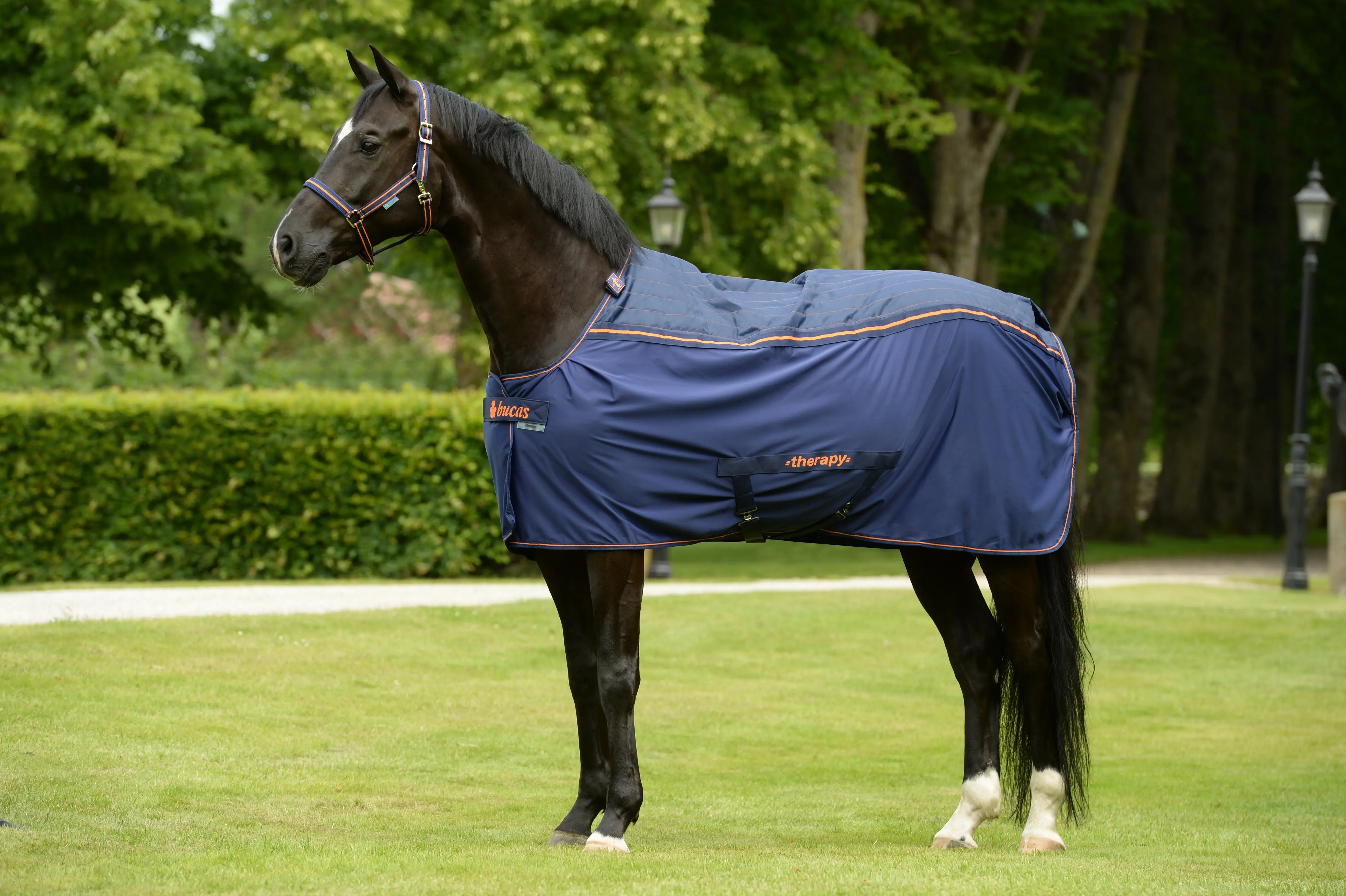 Bucas Therapy Cooler Rug - Image 3