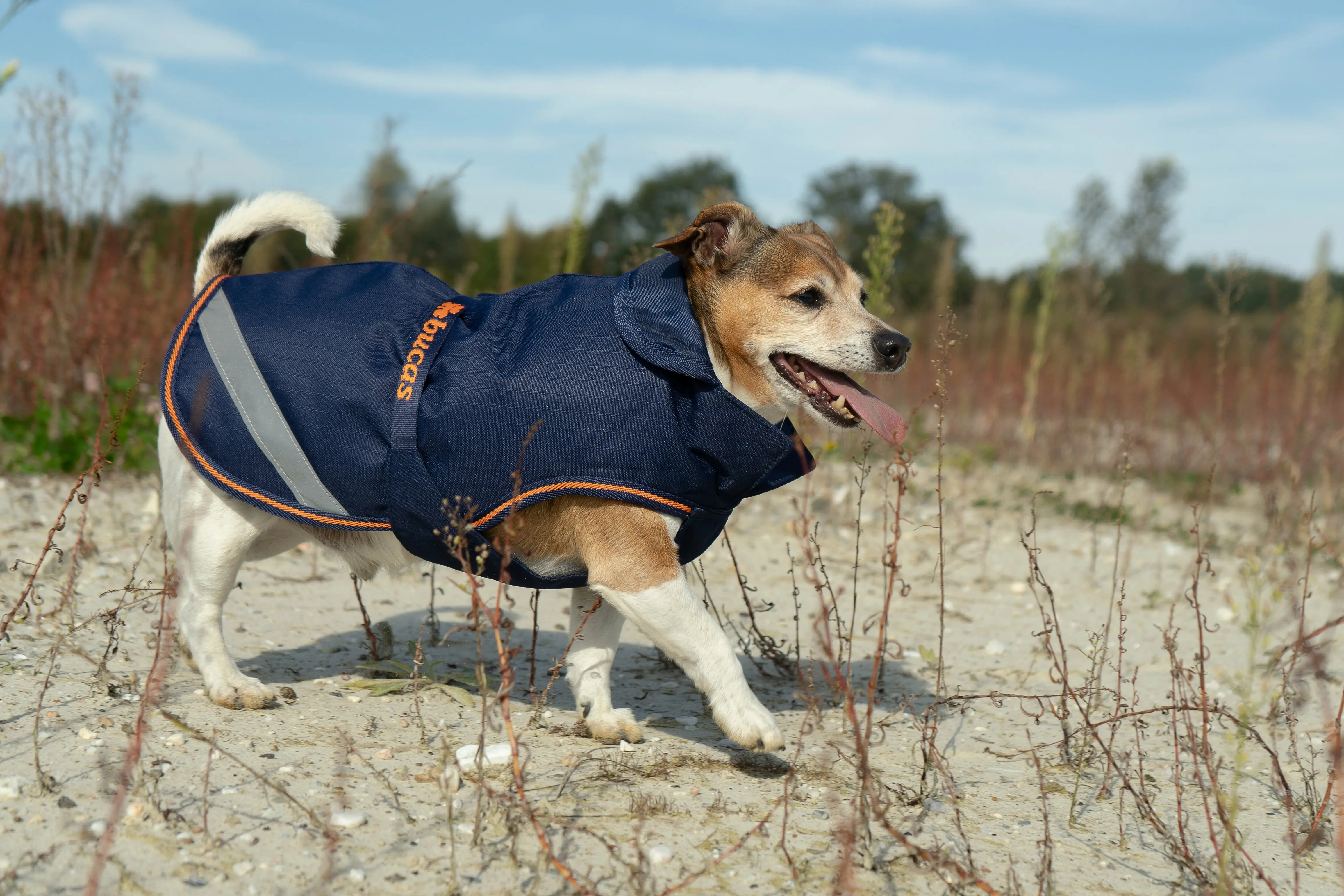 Bucas Therapy Small Dog Rug - Image 5