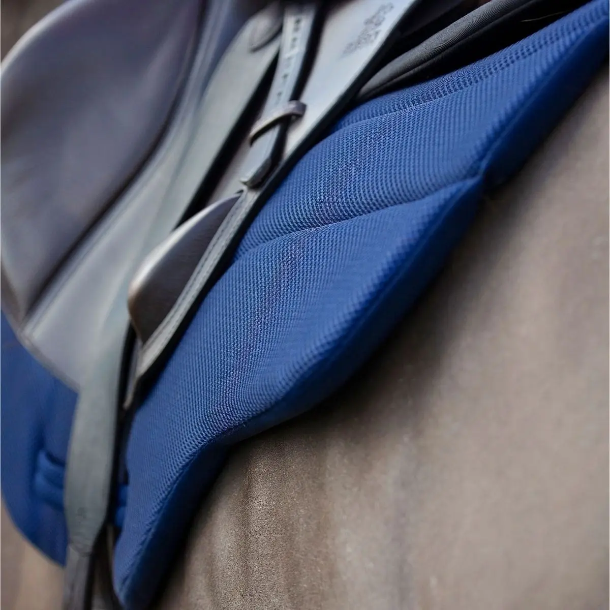 Cameo Equine GP / Jump Air Saddlecloth - Image 4