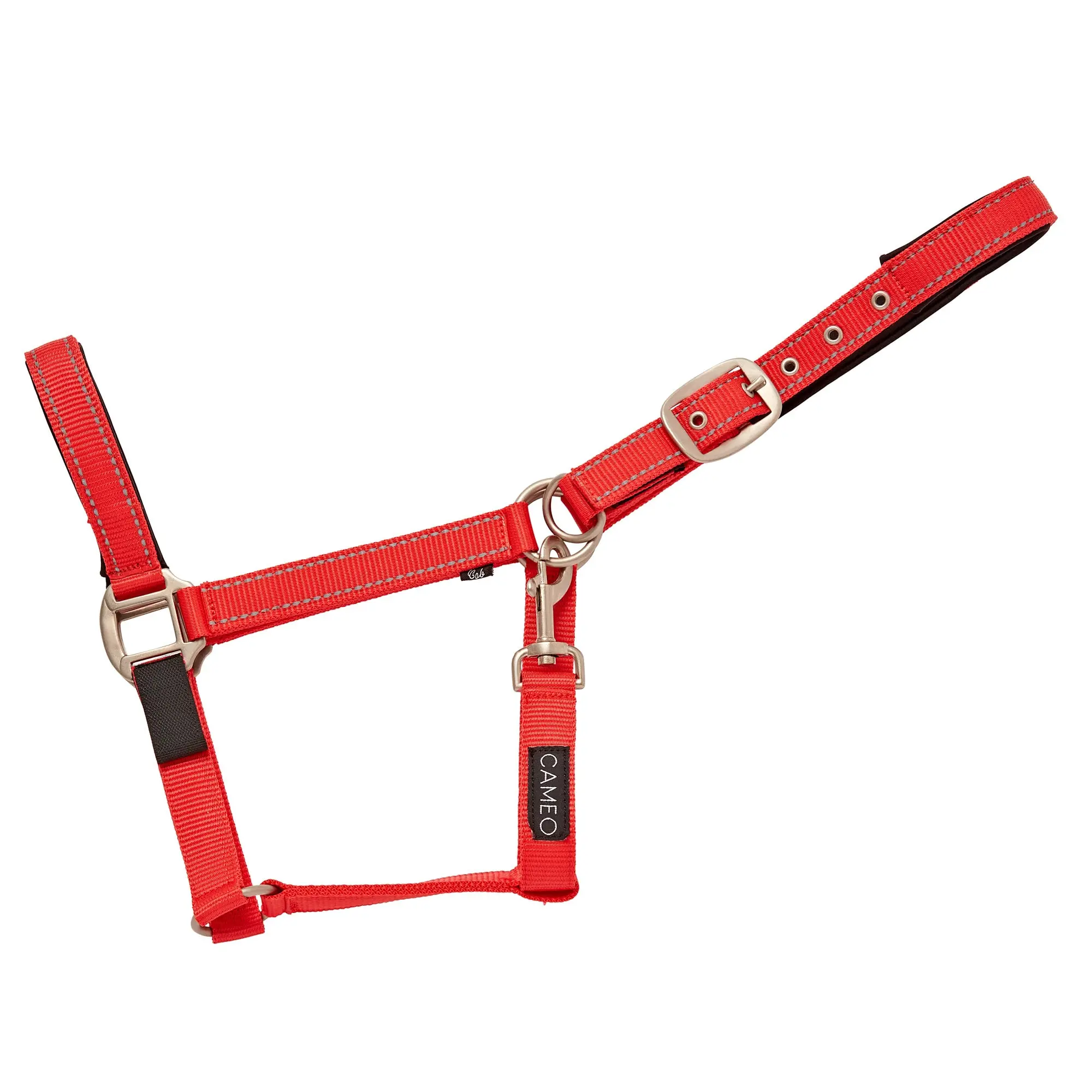 Cameo Reflective Fieldsafe Headcollar - Image 11