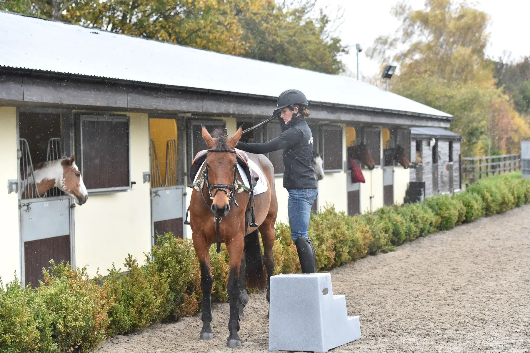 Classic Showjumps Premium 3 Step Mounting Block - Image 3