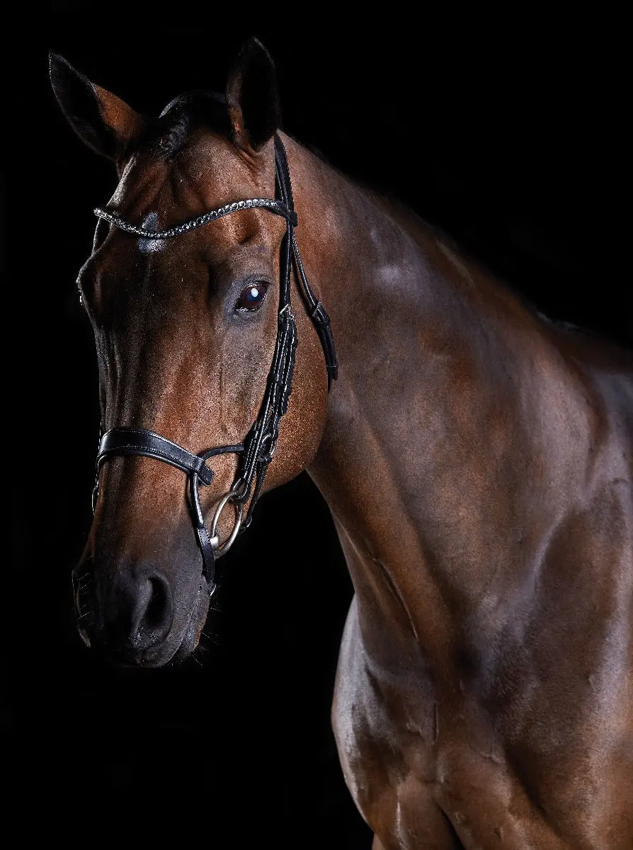 Collegiate ComFiTec Crystal Bridle - Image 7