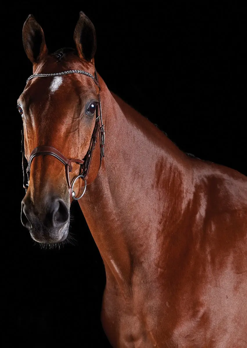 Collegiate ComFiTec Crystal Bridle - Image 8