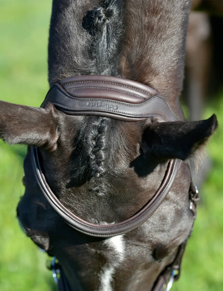 Collegiate ComFiTec Opulux Plain Padded Hanoverian Flash Bridle - Image 8