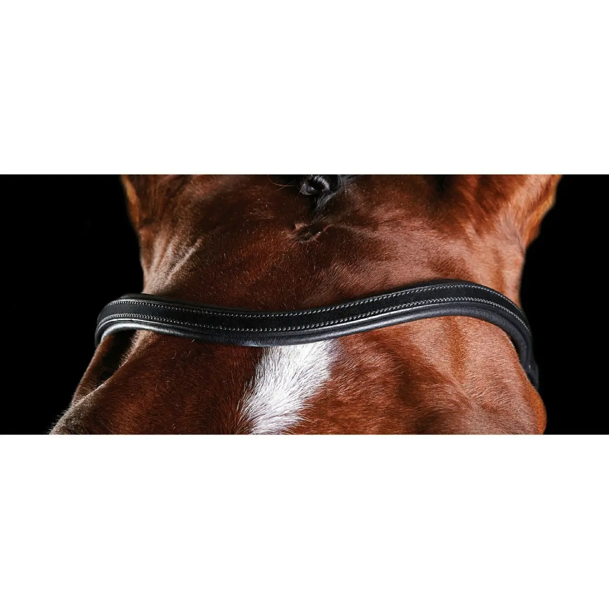 Collegiate ComfiTec Training Bridle - Image 5