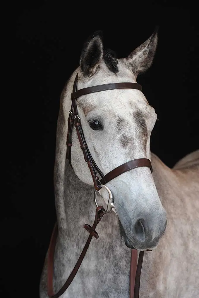 Collegiate Hunt Cavesson Bridle IV - Image 3