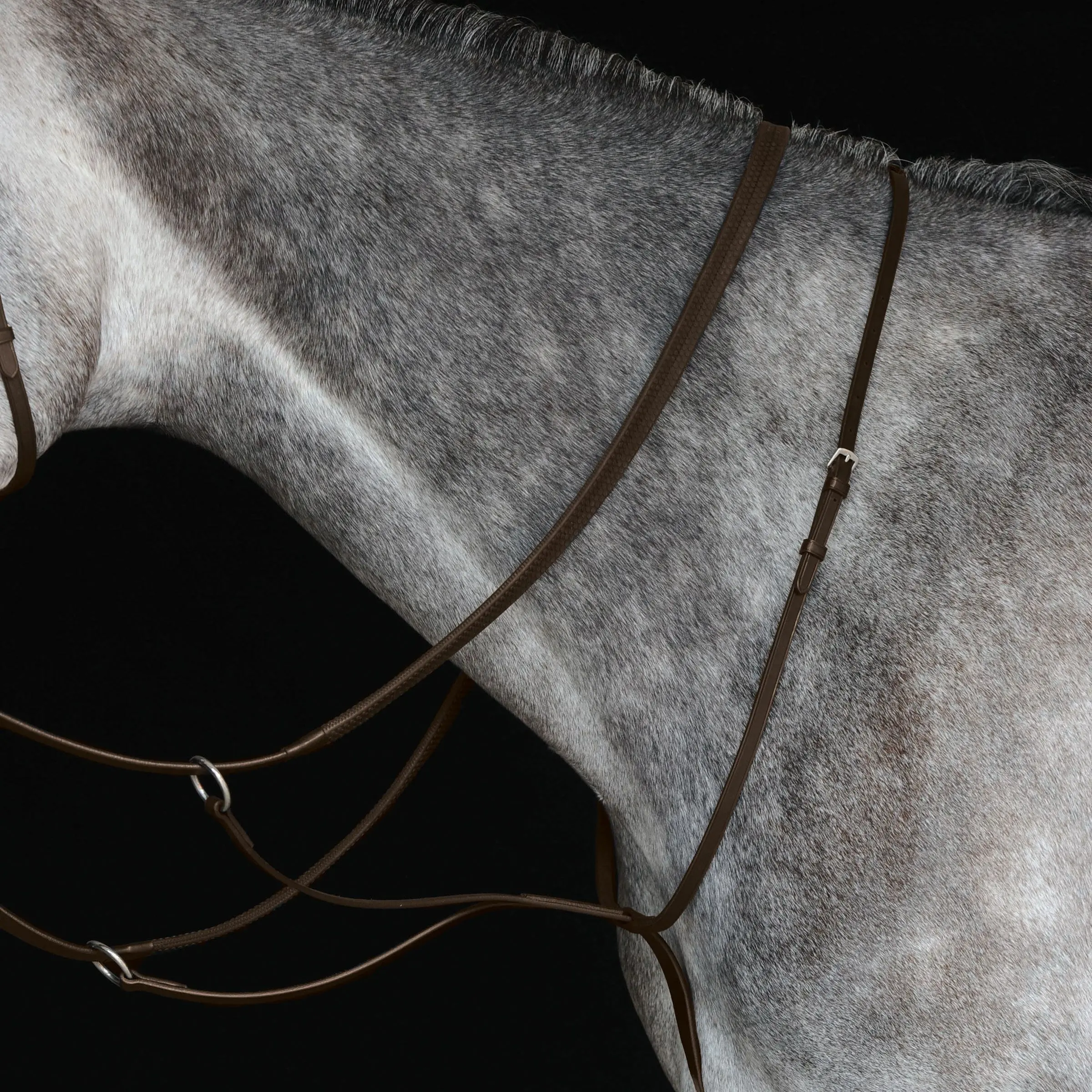 Collegiate Running Martingale IV - Image 6