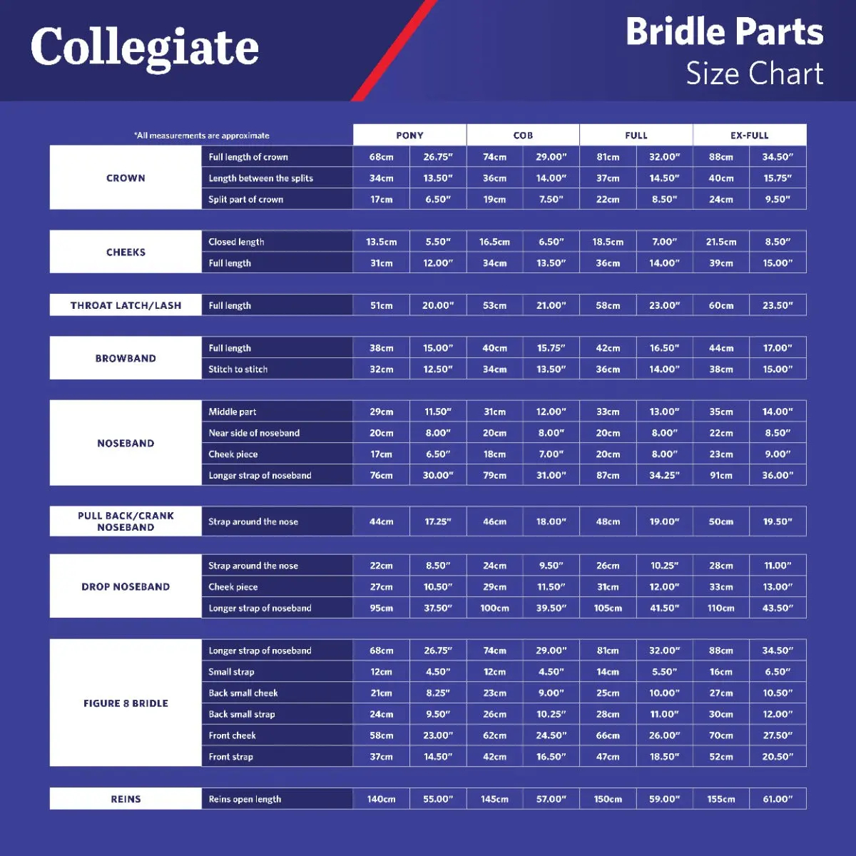 Collegiate Syntovia + Padded Raised Figure 8 Bridle - Image 3