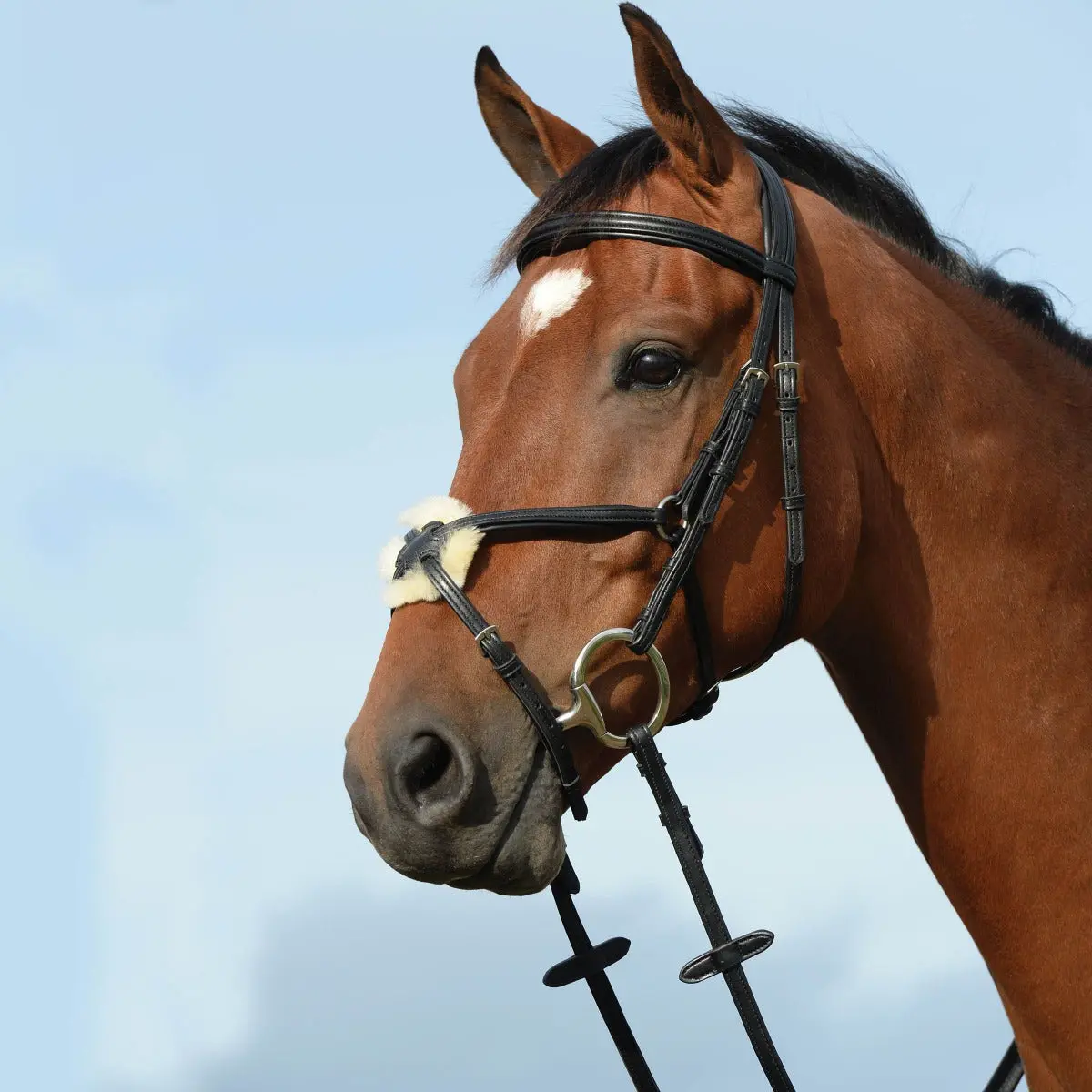 Collegiate Syntovia + Padded Raised Figure 8 Bridle - Image 4