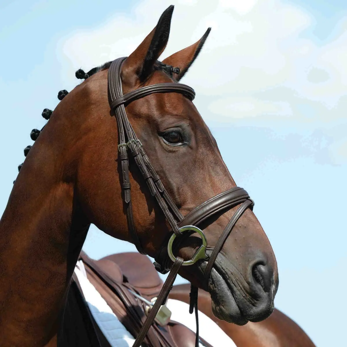 Collegiate Syntovia + Padded Raised Flash Bridle - Image 8