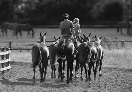 Country Greeting Cards - Image 39