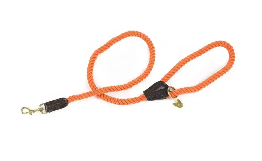 Digby & Fox Rope Dog Lead Orange
