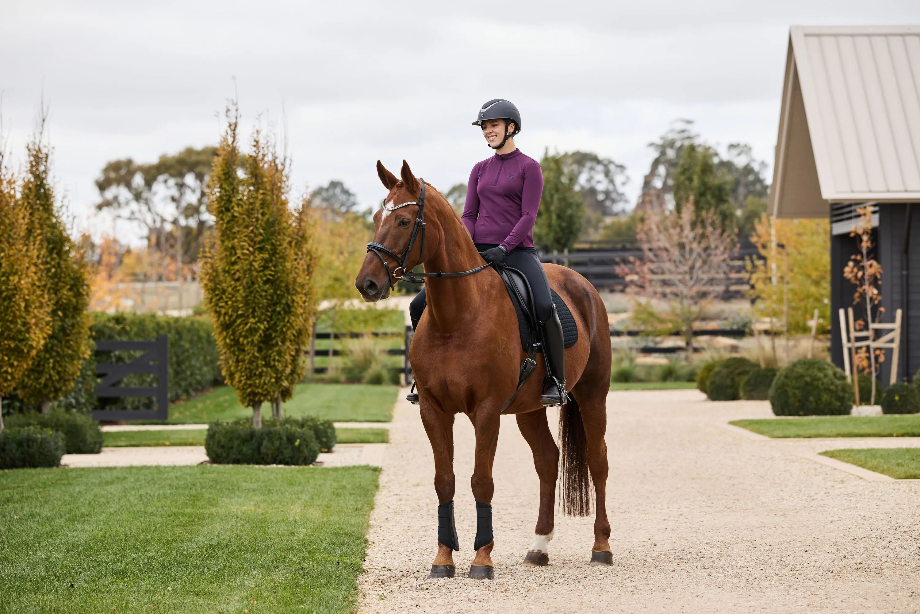 Dublin Brushed Long Sleeve Riding Top Purple Violet - Image 2