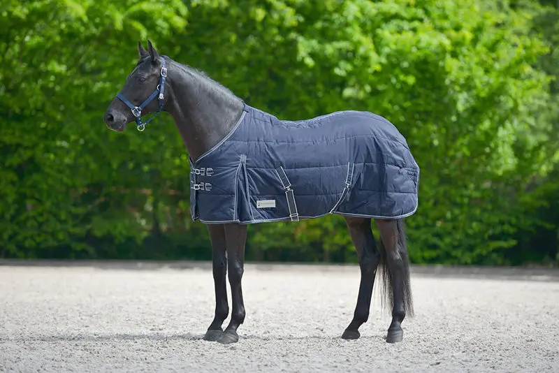 Waldhausen Economic 200g Stable Rug - Image 5