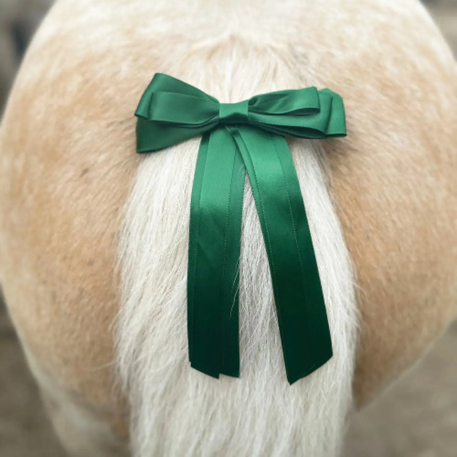 Equetech Green Horse Competition Warning Tail Ribbon
