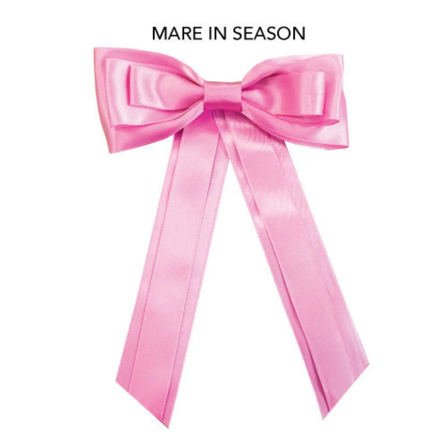 Equetech Pink Horse Competition Warning Tail Ribbon - Image 2