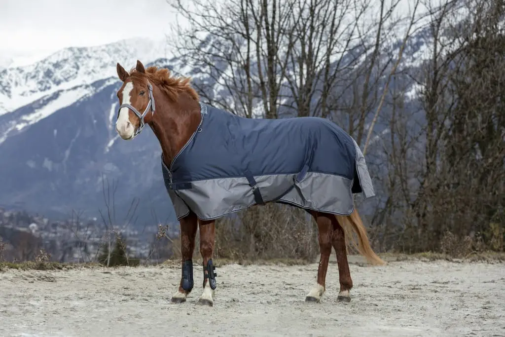 Equi-Thème Tyrex 600D No Fill Turnout Rug - Navy/Grey - Image 9