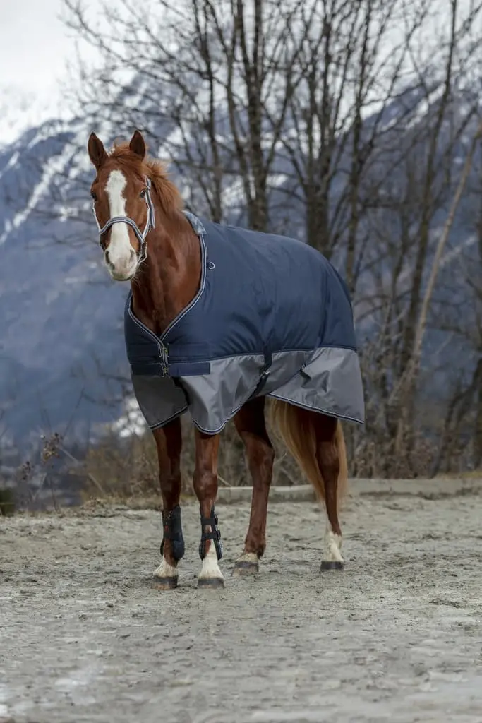 Equi-Thème Tyrex 600D 150G Turnout Rug - Navy/Grey - Image 6