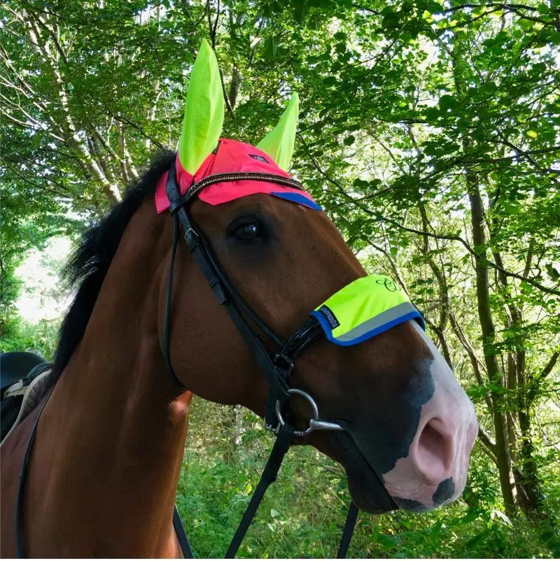 Equisafety Hi Vis Multi Coloured Ear Bonnet