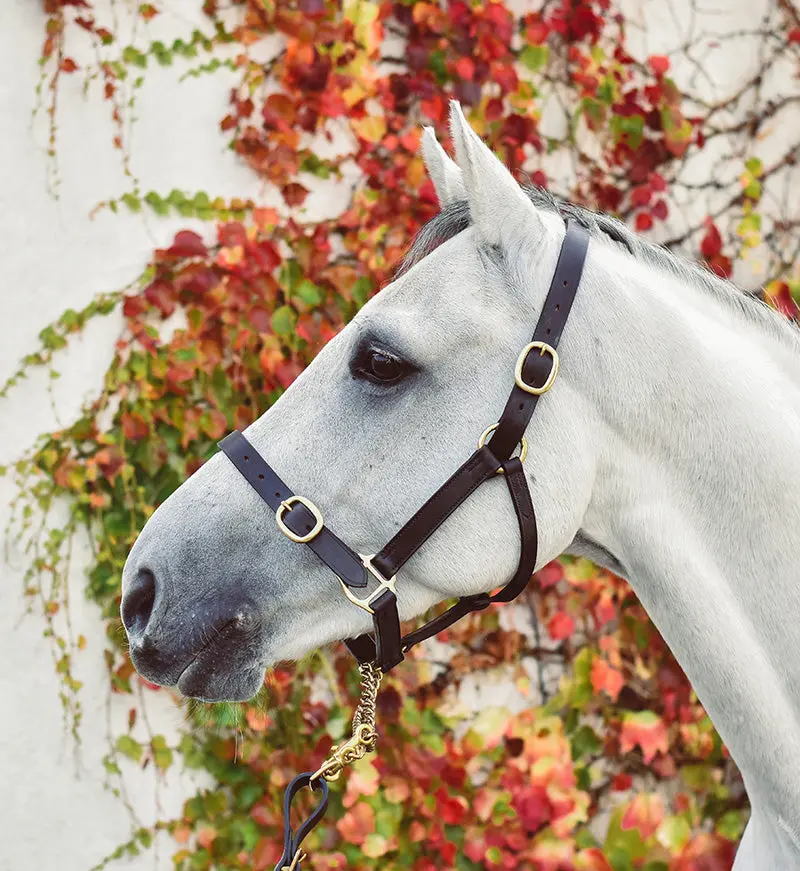 Equisential Leather Headcollar - Image 4