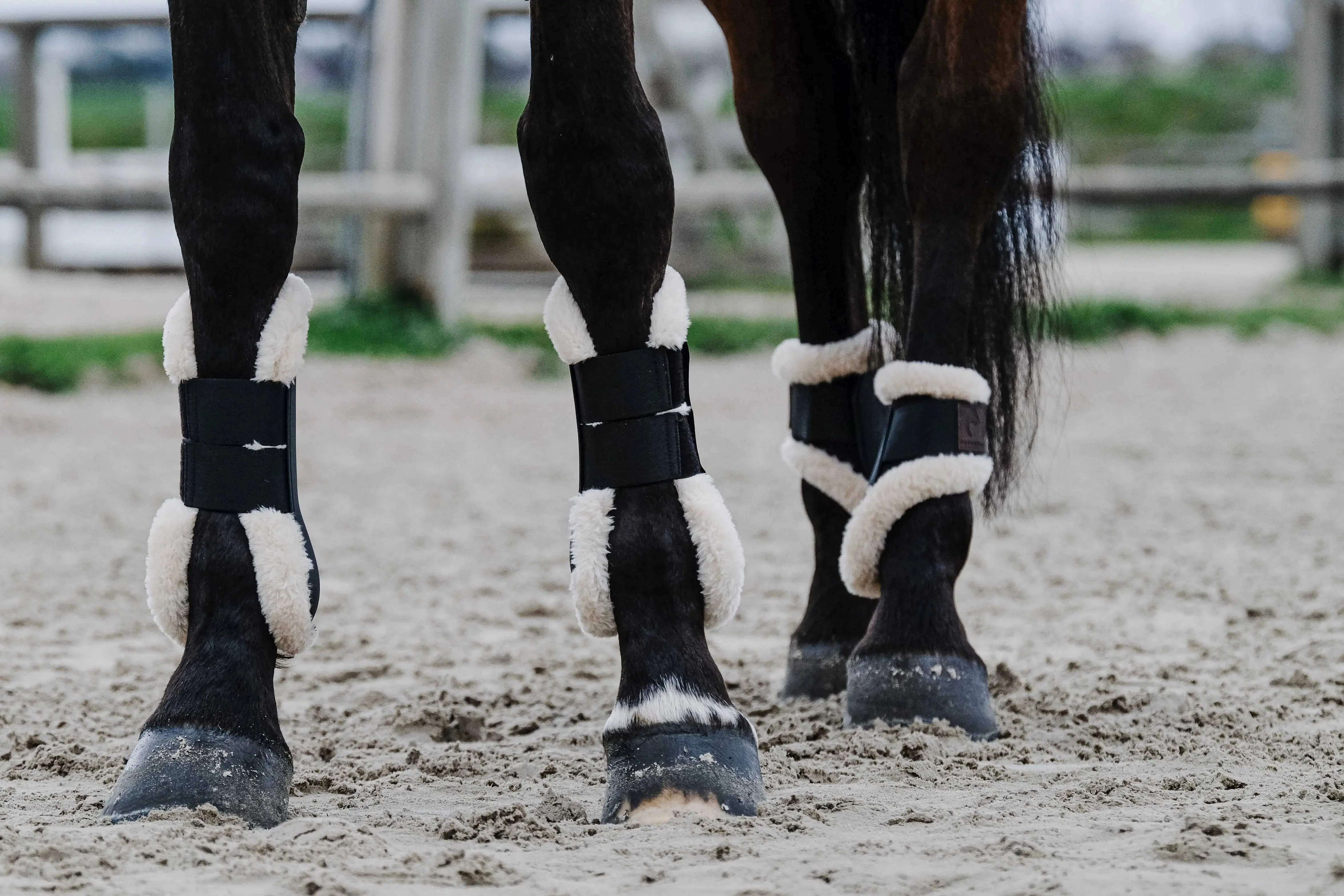 Equithème - Boa - Tendon Boots - Image 2