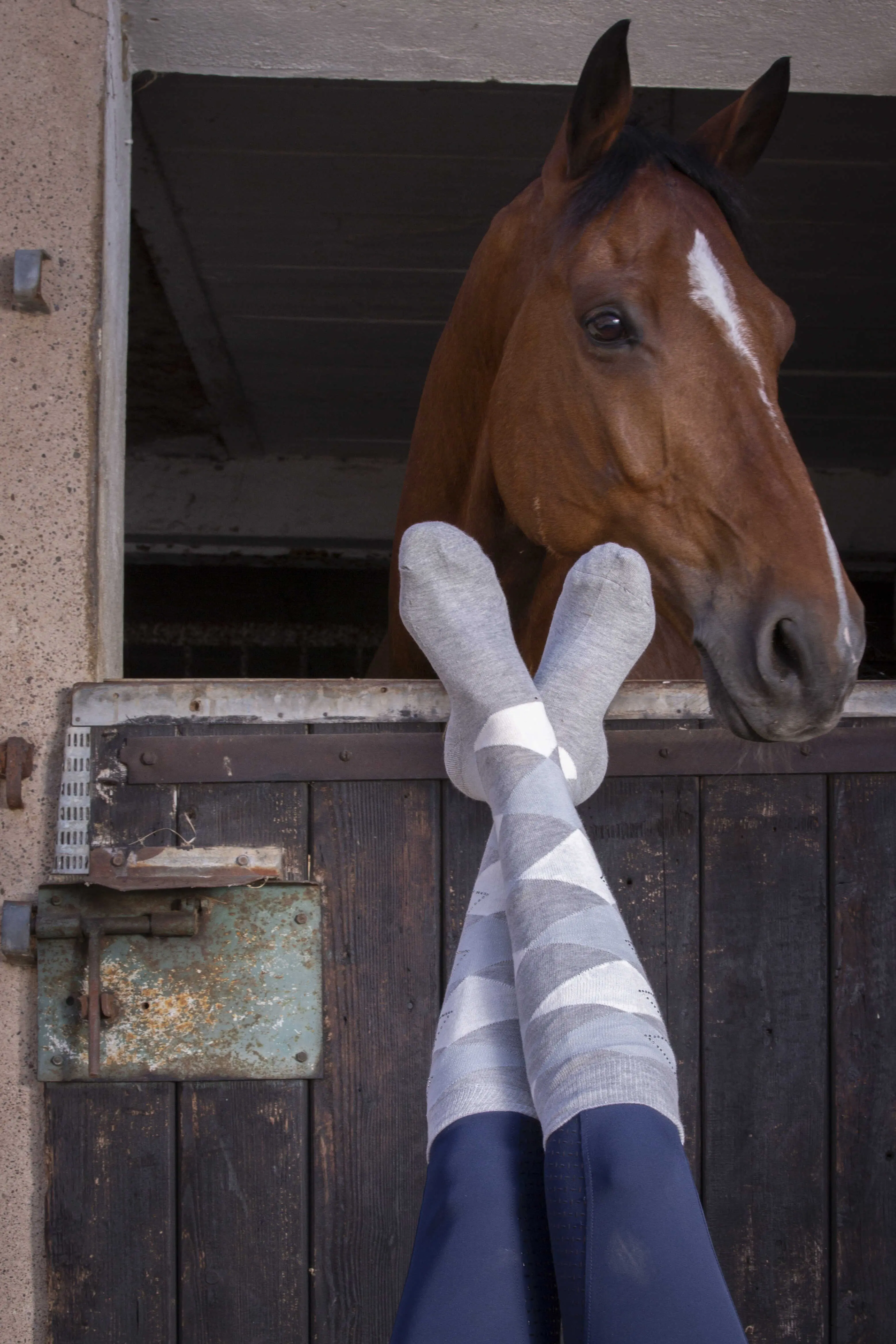 Equithème - Girly - Socks - Image 2