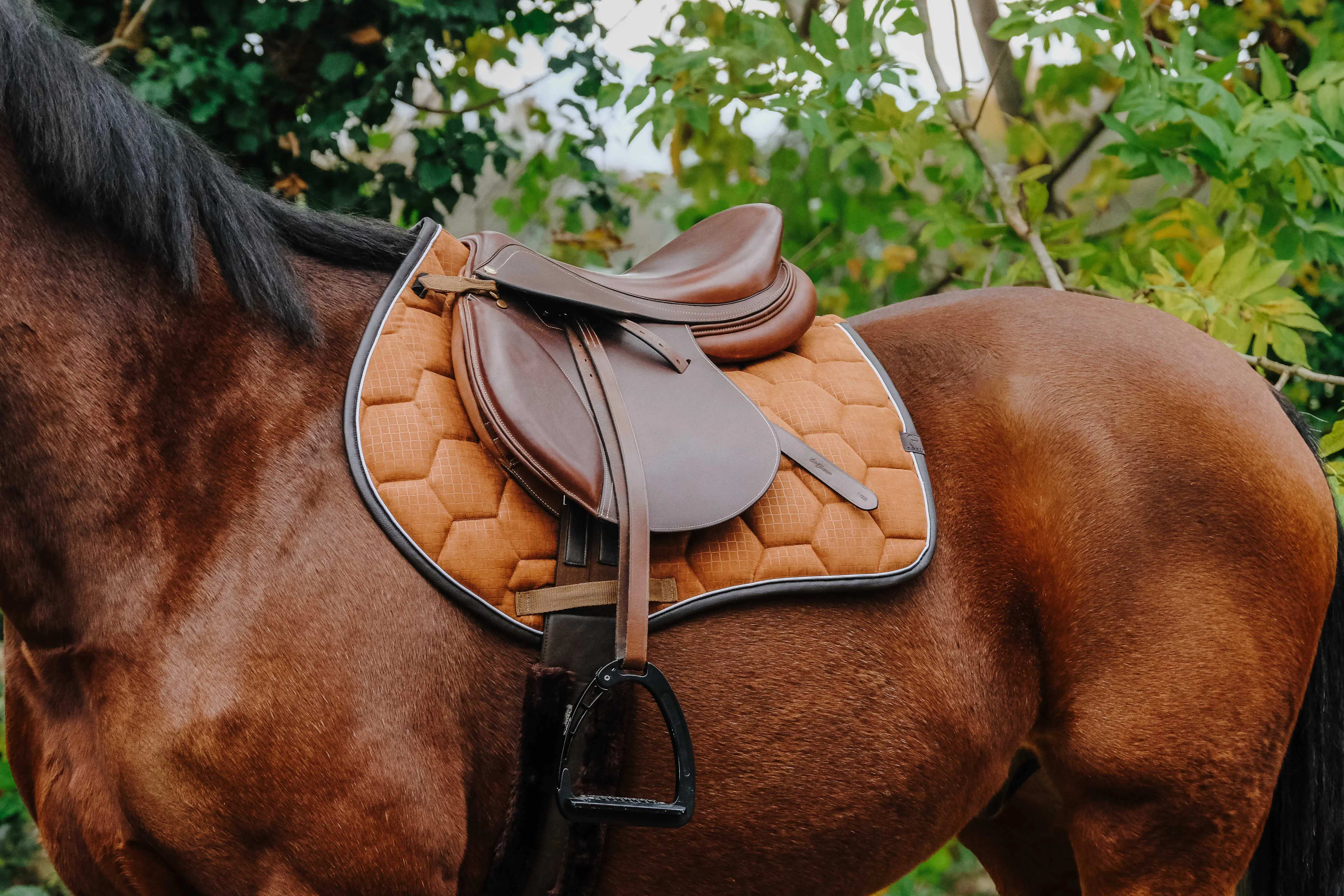 Equithème Quadri Saddle Pad - Image 5